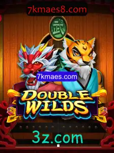 Explorando o Fascinante Mundo de DoubleWilds: Um Mergulho nas Regras e Introdução ao Jogo